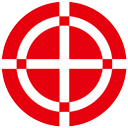 icon 精度控制