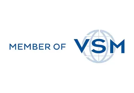 标志 VSM